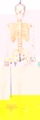 medical-product