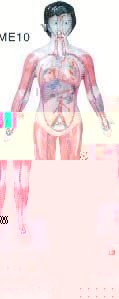 medical-product